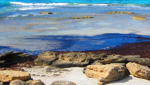 Turisme Mallorca